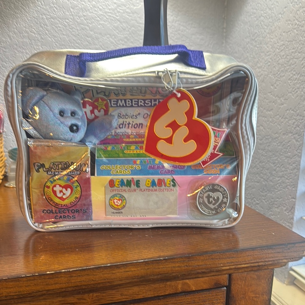 Ty Beanie Babies Carry Case With Silver Exterior and Purple Handle